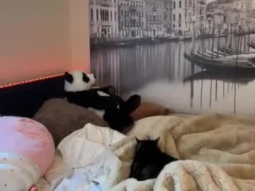 anyaa777 on Chaturbate 